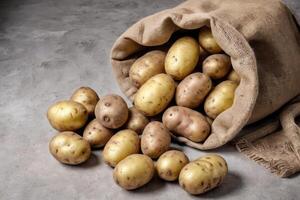 front view burlap sack with potatoes photo