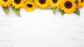 Sunflowers on white wooden background with copy space for text photo