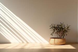 A potted plant in a room with sunlight streaming through the window photo