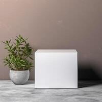 Blank Box Mock Up photo