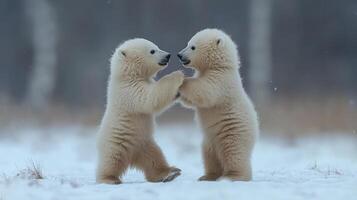 Two polar bear cubs playing in falling snow photo