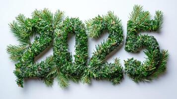 2025 new year sign made of fir branches is lying on white background photo