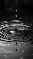 Water droplet falling creating concentric ripples on water surface photo