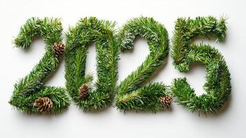 2025 new year sign made of fir branches is lying on white background photo