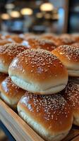 Freshly baked buns covered with sesame seeds resting on shelf photo