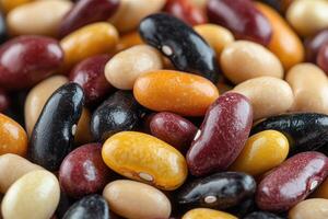 Close up view of different beans creating colorful background photo