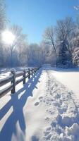 Sun shining on path covered in fresh snow next to wooden fence photo