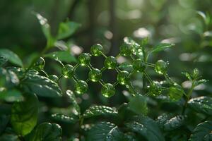 Molecular Structure of Organic Compound on Lush Greenery in Sunlight - Scientific Visualization for Educational and Design Use photo