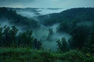 Mystical Foggy Forest Landscape at Dawn for Nature Prints and Posters photo