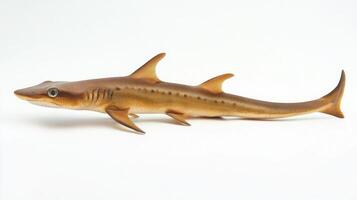 sawshark belonging to the Pristiophoridae family displays its distinctive elongated body and saw like snout while set against a white backdrop highlighting its remarkable adaptations. photo