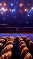 vibrant boxing ring ropes in a professional setting illuminated by overhead lights while the audience eagerly anticipates the upcoming match. photo
