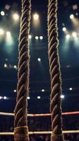 boxing ring ropes tightly pulled in preparation for a match illuminated by dramatic lighting that highlights the venues vibrant atmosphere creating an intense mood. photo