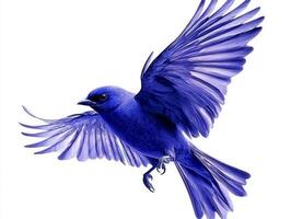 vibrant purple martin glides elegantly, showcasing its stunning feathers while flying across a clear white background, embodying the beauty of nature in motion. photo