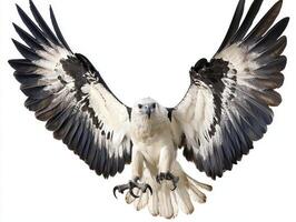 stunning harpy eagle glides effortlessly, its wings fully extended in a display of strength and beauty, showcasing its captivating plumage as it navigates the open sky. photo