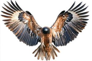 bearded vulture glides effortlessly through the air with its impressive wings fully extended, revealing rich dark feathers and a distinctive hooked beak, embodying beauty in flight. photo
