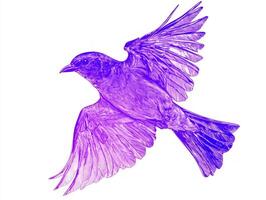 stunning purple martin glides effortlessly through the air, its wings slightly tucked, capturing the elegance and beauty of avian flight against a minimalist background. photo
