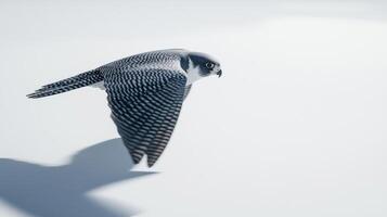 falcon glides effortlessly through the air, wings partially folded, as it showcases its remarkable speed and precision against a clean white backdrop, embodying nature's stunning beauty and power. photo