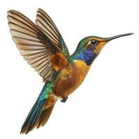 vibrant hummingbird hovers gracefully, its iridescent feathers shimmering. The bird's wings blur from rapid motion, showcasing its mesmerizing flight. photo