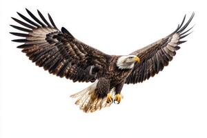 With its broad wings fully extended, a white-tailed eagle navigates the vast sky, embodying the essence of freedom and strength in this serene moment of flight. photo