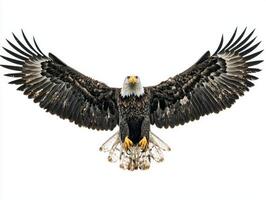 stunning bald eagle glides effortlessly, showcasing its expansive wingspan and powerful presence. The bird exudes strength and grace as it navigates the vast sky. photo
