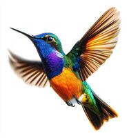 exquisite hummingbird hovers effortlessly, showcasing its brilliant plumage. The wings create a captivating motion blur, emphasizing its agility and beauty. photo