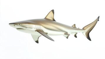 Red Tail Shark is showcased with its vibrant colors and unique shape against a pristine white background highlighting its natural beauty and characteristics. photo