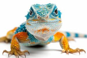 common collared lizard showcases its vibrant colors against a white background exhibiting detailed textures and patterns while standing confidently in isolation. photo