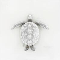 captivating Green Sea Turtle swims forward with its smooth shell visible in stunning detail against a clean white background showcasing its elegance and grace. photo