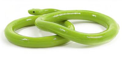 slender common green snake rests in coiled position against bright white background highlighting its smooth scales and vivid green color in bright lighting. photo