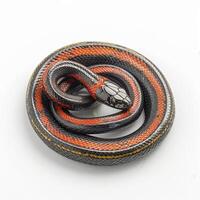 corn snake displays its striking orange and red patterns while coiled loosely against a white backdrop enhancing the reptiles vivid colors in soft lighting. photo