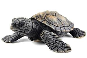 young green sea turtle hatchling moves forward on a white surface illustrating its delicate features and determination as it navigates its surroundings. photo