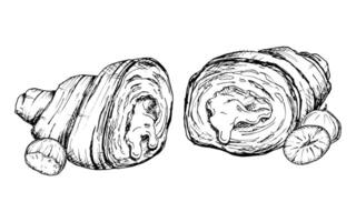 A detailed hand-drawn illustration of a croissant cut in half with hazelnuts. Black and white sketch showing the flaky layers of the pastry and nuts. Perfect for bakery, food, culinary designs vector