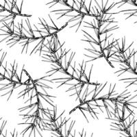 Detailed hand drawn seamless pattern of spruce branches. Realistic ink sketch style design, perfect for nature, eco-themed projects, Christmas decorations and botanical illustrations. vector