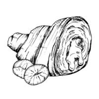 A detailed hand-drawn illustration of croissant with hazelnuts. Black and white sketch showcasing the flaky texture and nut filling. Ideal for bakery, food packaging or culinary design projects vector