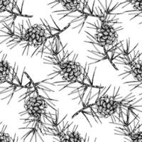 Detailed hand drawn seamless pattern of spruce branches and cones. Realistic ink sketch style design, perfect for nature, eco-themed projects, Christmas decorations and botanical illustrations. vector