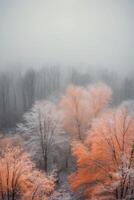Foggy trees in the forest with orange leaves photo