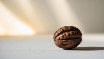 A tight shot of a walnut on the ground with a blurred background behind it. photo