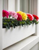 A window box with colorful flowers in it photo