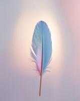 A blue and pink feather is shown in front of a light photo