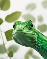 A green lizard with its head up and looking at the camera photo