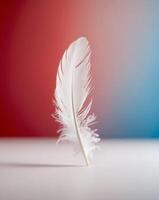 A white feather on a table in front of a red and blue background photo