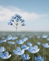 A field of blue flowers with a single blue flower photo