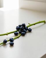 A bunch of blueberries on a white table photo
