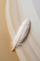 Soft and Elegant Feather Background in Warm Tones. photo