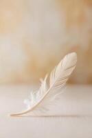White feather on a wooden table with a blurred background photo