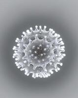 A white virus is shown in a gray background photo