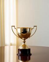 A golden trophy on a wooden table in front of a window photo