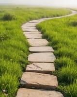 Stepping stones in a grassy field photo