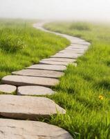 Stepping stones in a grassy field photo