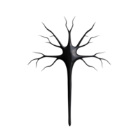 Black neuron cell illustration with branching dendrites, depicted on a transparent background. png